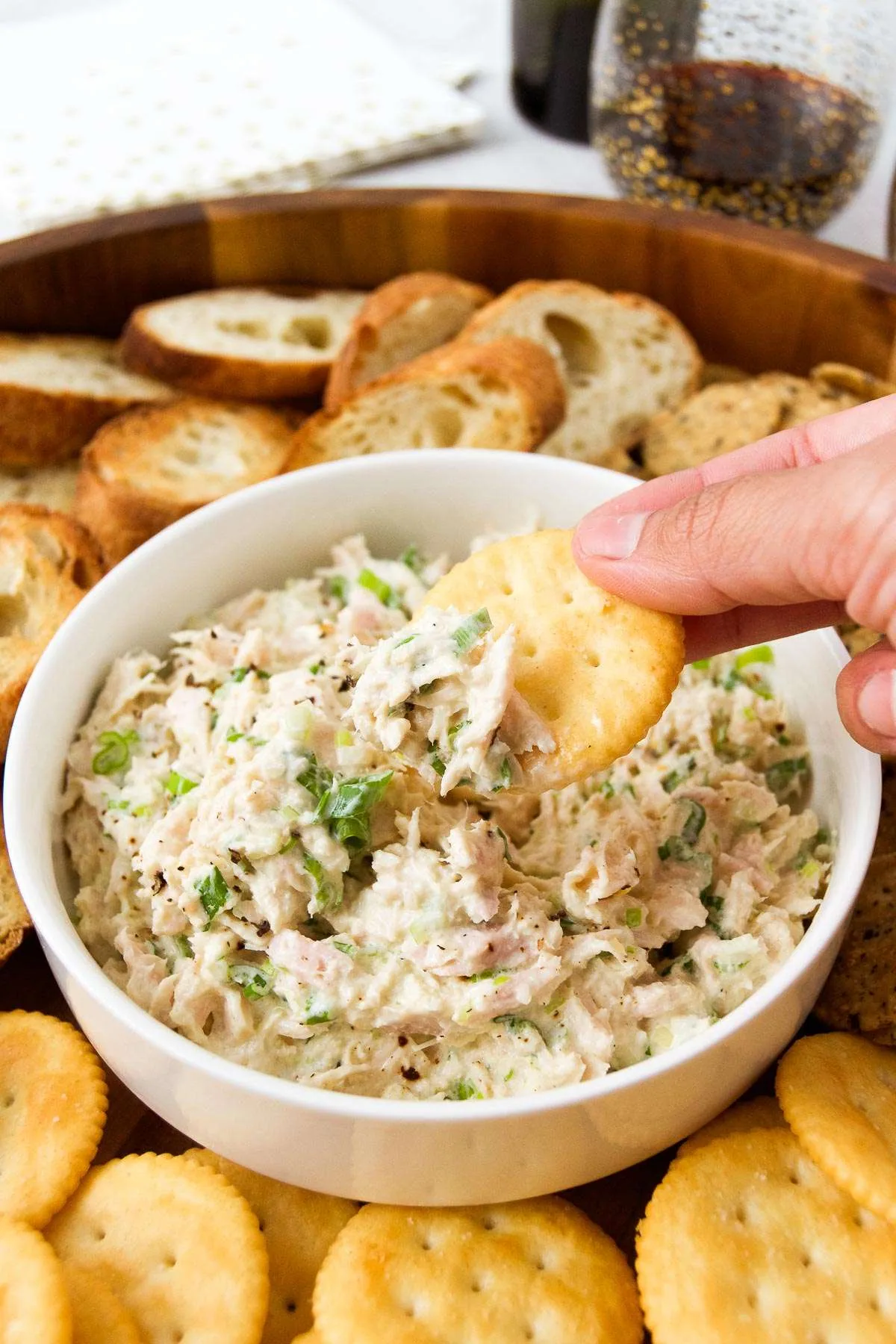 Tuna Dip Recipe Foodrinky