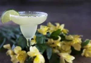 Margarita Cocktail Recipe